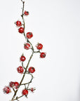 29" Faux Iced Red Berry Stem