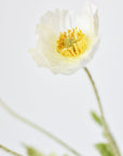 24" Faux White Poppy Stem