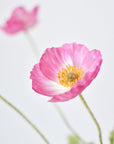 24" Faux Pink Poppy Stem