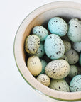 Plastic Blue Eggs Assortment (36 PCS)