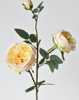 29" Faux Cabbage Rose Stem Yellow / Apricot