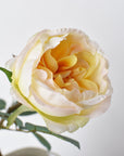 29" Faux Cabbage Rose Stem Yellow / Apricot