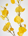 40" Faux Yellow Aspen Branch Spray