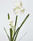 17.5" Faux Paperwhites w/ Bulb