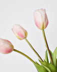 18" Faux Tulip Stem Bundle Blush Pink