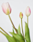 18" Faux Tulip Stem Bundle Blush Pink