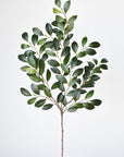 26" Faux Ruscus Leaf Stem