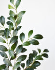 26" Faux Ruscus Leaf Stem