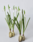 10" Faux Standing Snowdrop w/Bulb