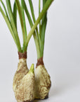10" Faux Standing Snowdrop w/Bulb