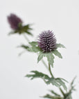 31" Faux Lavender Thistle Stem