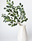 26" Faux Ruscus Leaf Stem