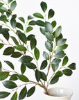 26" Faux Ruscus Leaf Stem