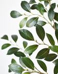 26" Faux Ruscus Leaf Stem