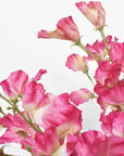 22" Faux Fuchsia Sweet Pea Stem