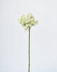 23" Faux White Queen Anne's Lace Stem