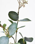 30" Faux Seeded Eucalyptus Stem