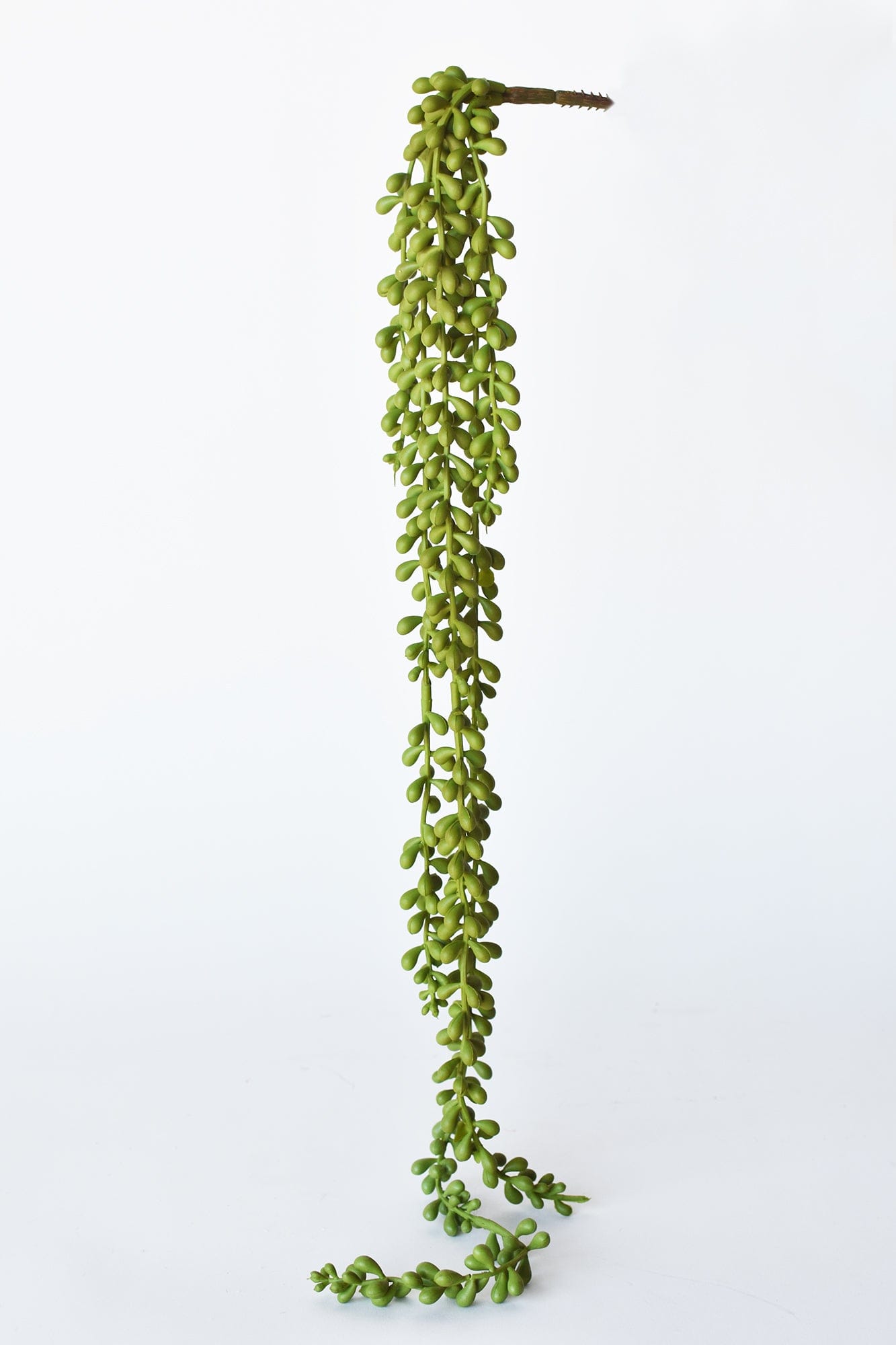 hanging succulents fake 28" Faux String of Pearl Succulent Stem