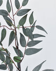 36" Faux Dark Green/Gray Ruscus Leaf Stem