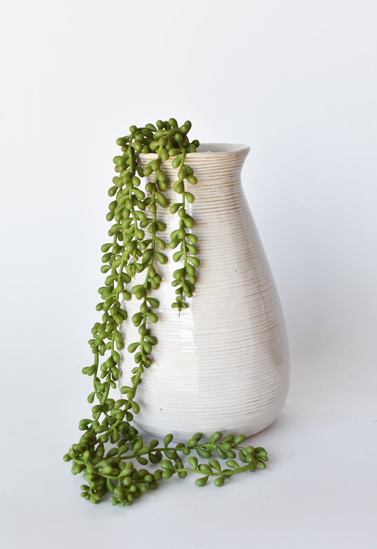 faux succulent string of pearls 28" Faux String of Pearl Succulent Stem