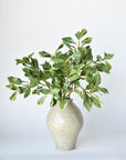 21.5" Faux Real Touch Variegated Green Pittosporum Spray Stem