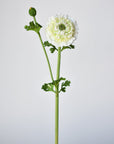 21" Faux Double Ruffled Ranunculus Stem White