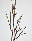 36" Faux Magnolia Tree Branch Stem