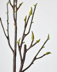 36" Faux Magnolia Tree Branch Stem