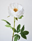 22" Faux White Peony Stem