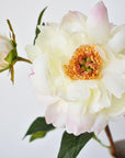 22.5" Faux Peony Stem w/Bud Cream White/Soft Pink