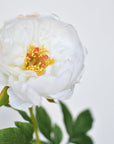 22" Faux White Peony Stem