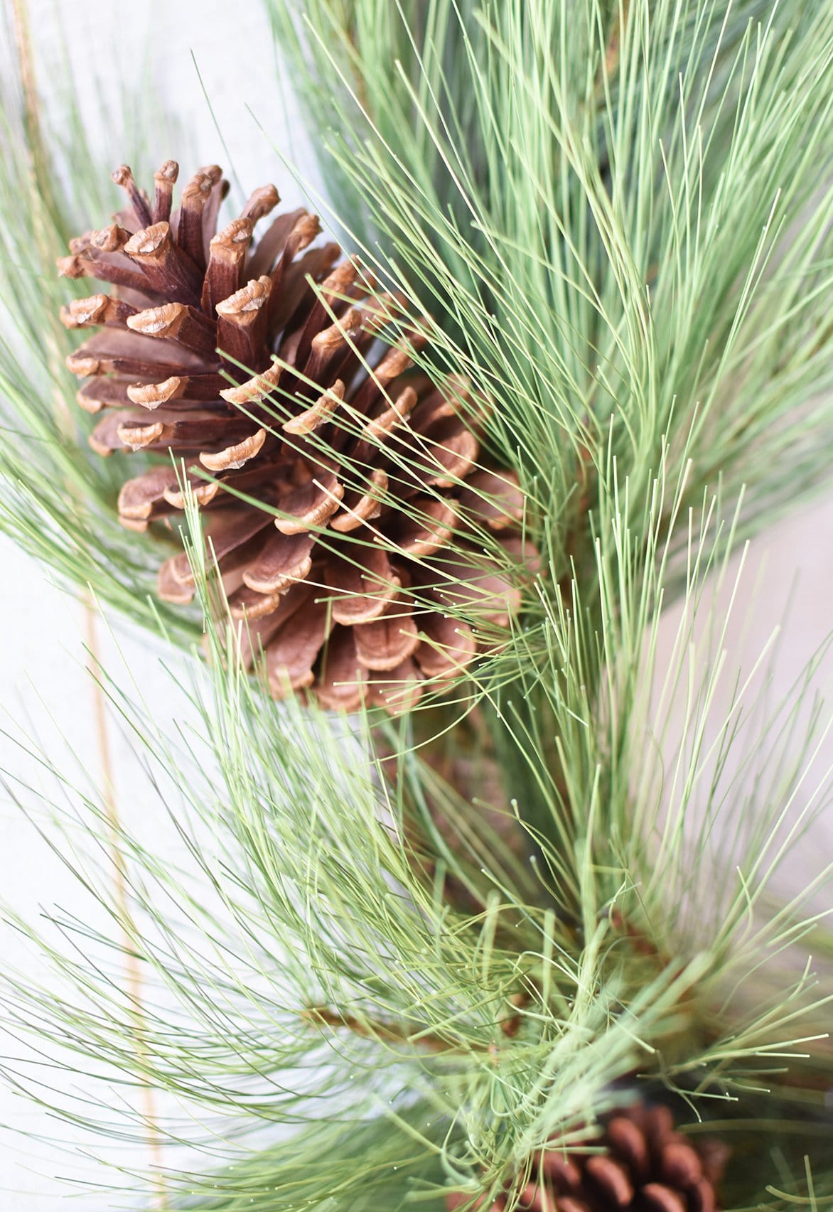 30 Faux Long Needle Pine Greenery Stem – House by JSD