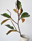 26" magnolia leaf branch