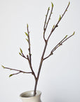 36" Faux Magnolia Tree Branch Stem