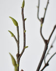 36" Faux Magnolia Tree Branch Stem