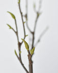 36" Faux Magnolia Tree Branch Stem