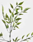 27" Faux Mini Bamboo Leaf Stem