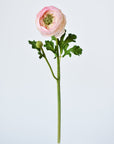 13" Faux Blush Ranunculus Stem