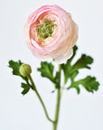 13" Faux Blush Ranunculus Stem