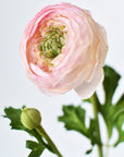 13" Faux Blush Ranunculus Stem