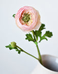 13" Faux Blush Ranunculus Stem