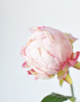 18" Faux Peony Bud Stem Light Pink