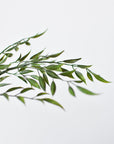 27" Faux Mini Bamboo Leaf Stem