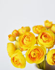 10" Faux Yellow Ranunculus Stem Bundle