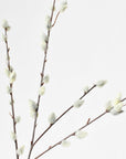 31" Faux Pussy Willow Stem