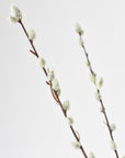 31" Faux Pussy Willow Stem