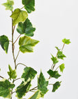 25" Faux Variegated Green Ivy Stem
