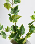 25" Faux Variegated Green Ivy Stem