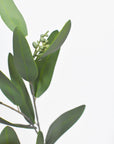 31" Faux Eucalyptus Leaf Stem