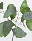 24" Faux Eucalyptus Leaf Stem